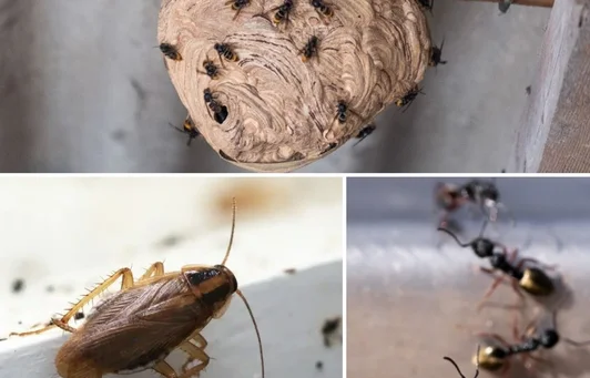 Intervention Saint-Quentin