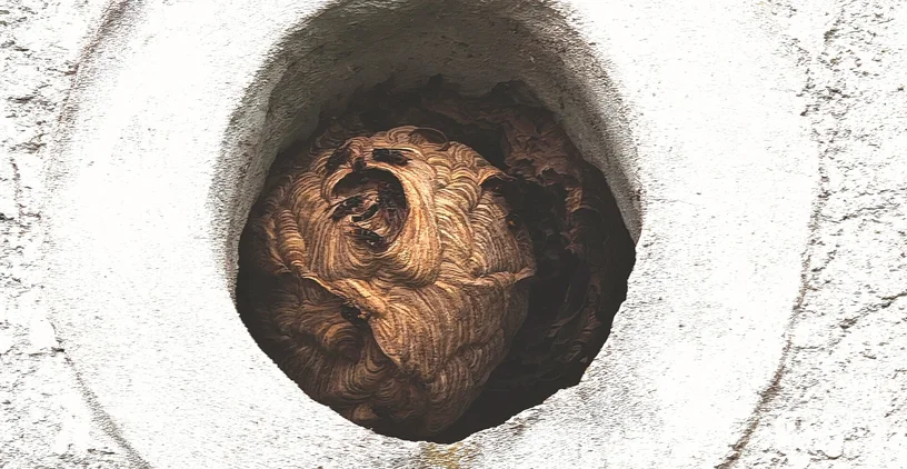 Réalisation Saint-Quentin