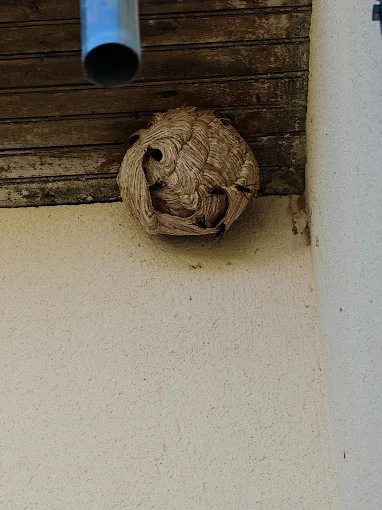 Réalisation Saint-Quentin