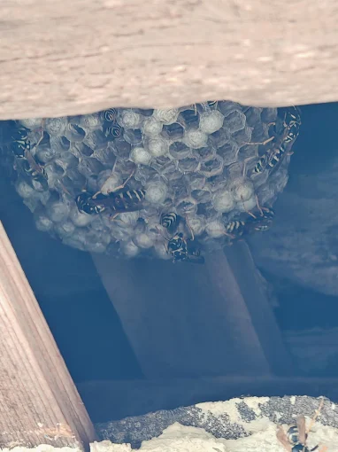 Réalisation Saint-Quentin