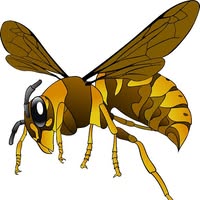 Logo Guepes O France