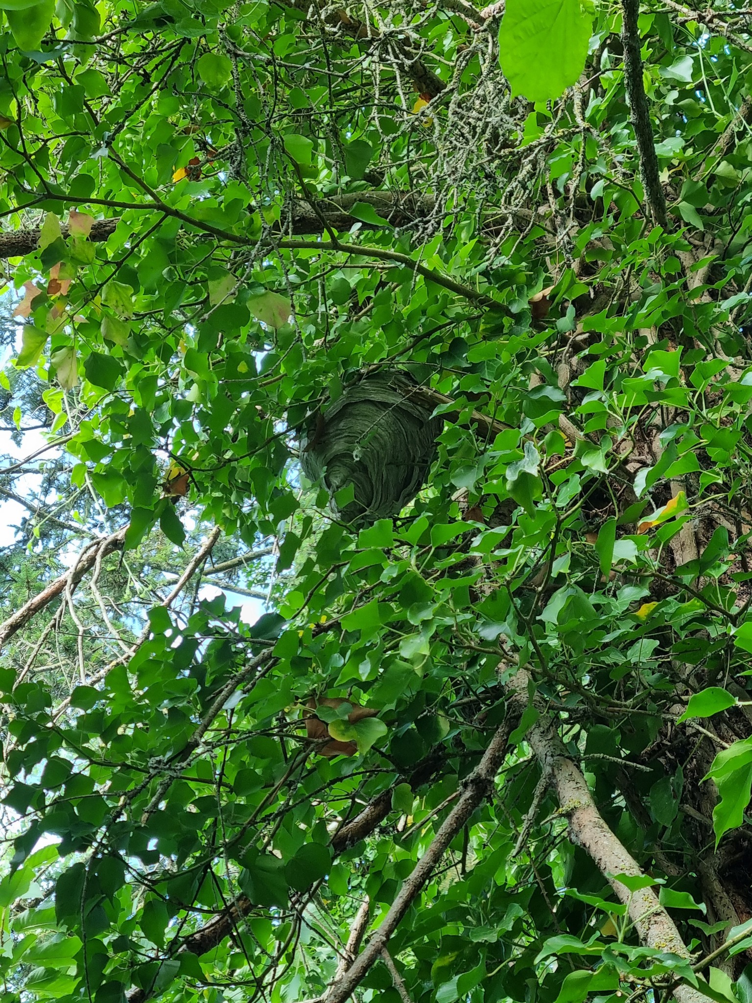Réalisation Château-Thierry