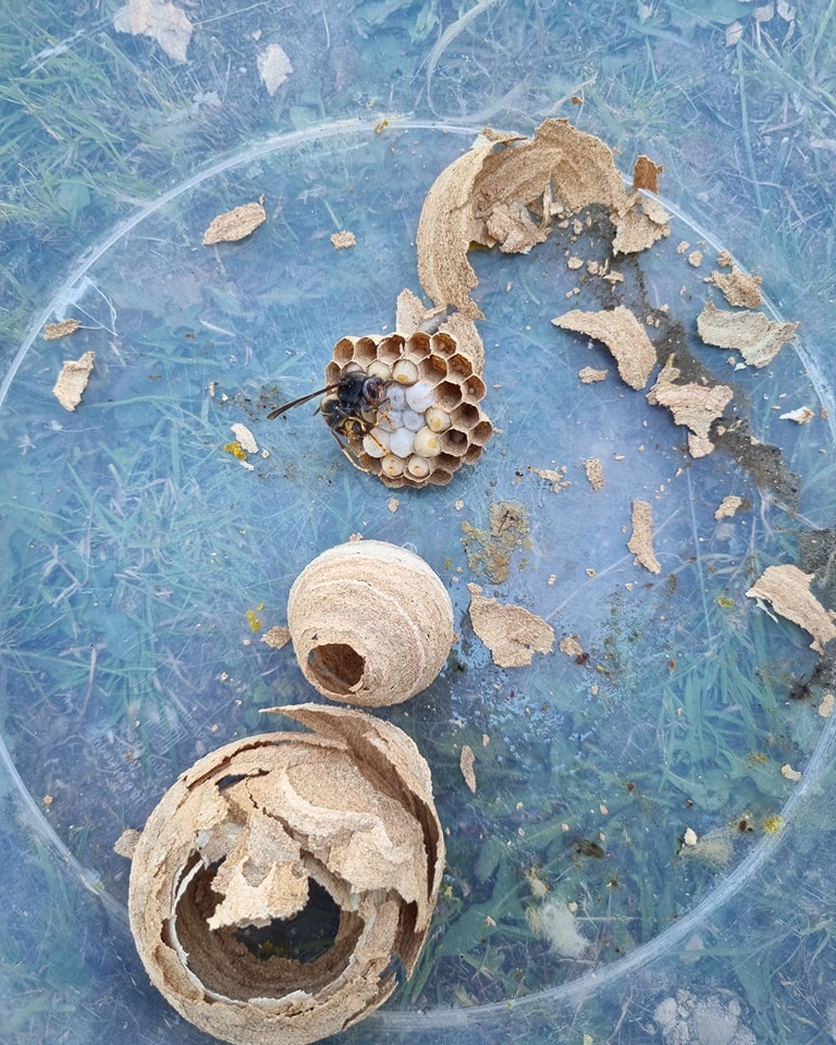 Réalisation Château-Thierry