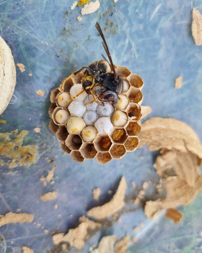 Réalisation Château-Thierry