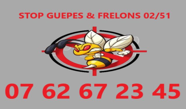 Logo Guepes O France