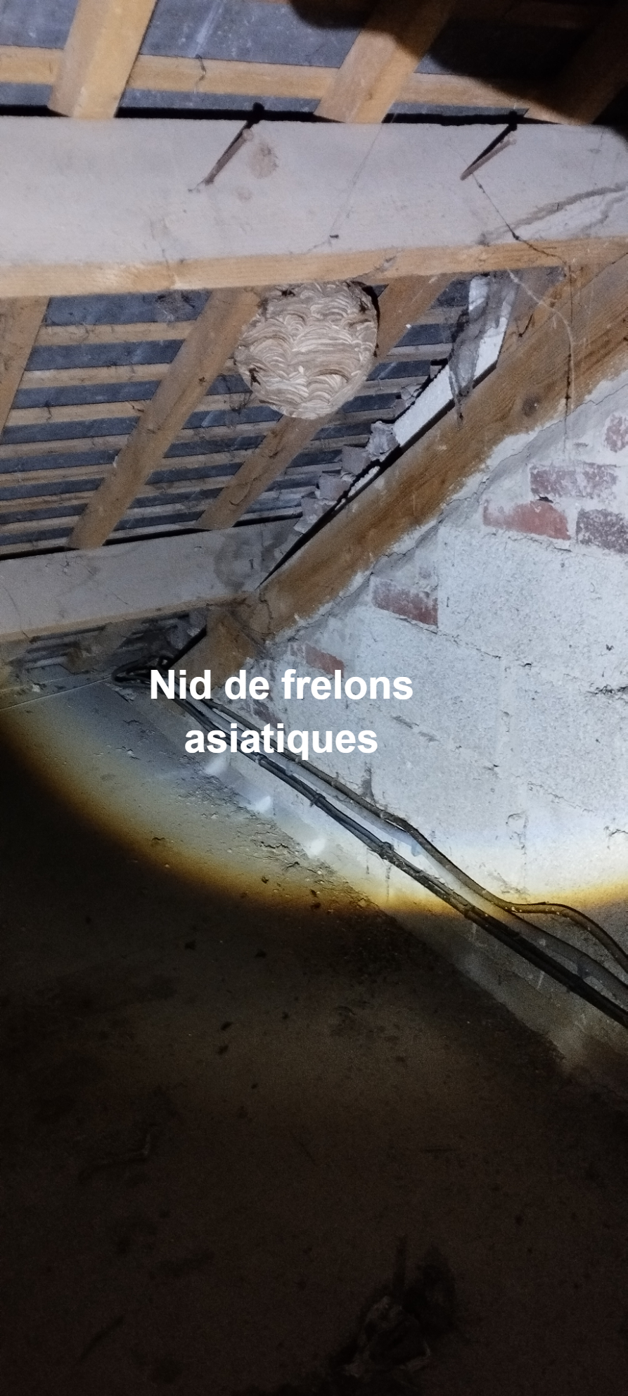 Intervention Abbeville