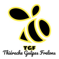 Logo Guepes O France